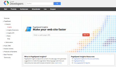 Screenshot Google Page Speed Tool